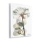 Stupell Industries Modern Minimalist Buds Wall Plaque Design by Albert Koetsier